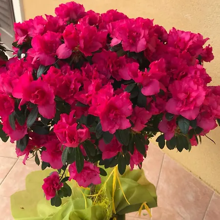 Lägenhet Adriana Sicily House Etna & Sea